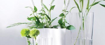 Greenery - a cor do ano