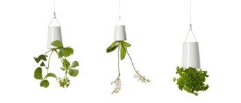 We love the suspended vases by boskke