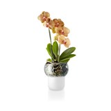 vaso para orquídeas 13cm