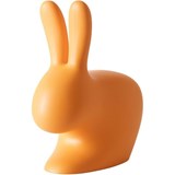 rabbit baby orange