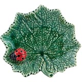 Ragwort leaf with ladybug