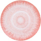 SPAL Venice Coral Set of 6 Dessert Plates