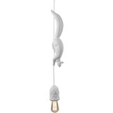 Karman Sherwood and robin suspension lamp