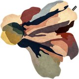 Colors