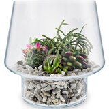 Eva Solo Vaso para suculentas em vidro 21cm
