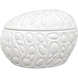 REX EGG (base+top)