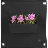 Blooming Walls The green pocket preto