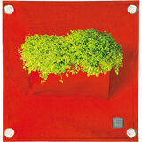 Blooming Walls The Green Pocket Vermelho