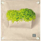 Blooming Walls The Green Pocket Marfim