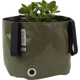 The green bag