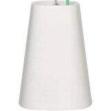 Recycled small white