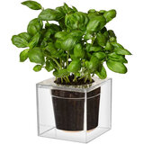 Boskke cube, small
