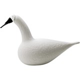 Whooper swan white 330x210
