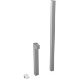 Ingenua poles