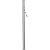 Ingenua poles