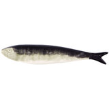 Sardinha natural