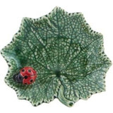 Folhas do campo - folha cinerária com joaninha 14cm