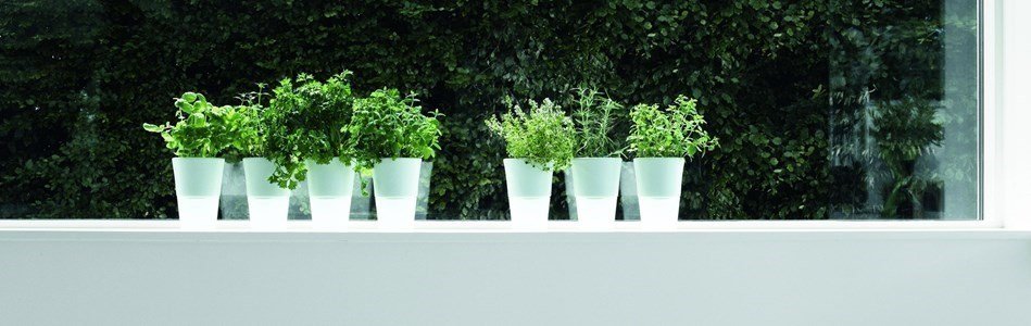 eva solo herb pot vaso ceramica